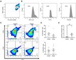 CD8 alpha Antibody in Flow Cytometry (Flow)