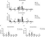 CD8 alpha Antibody in Flow Cytometry (Flow)