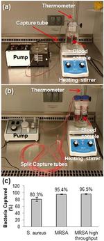 Staphylococcus aureus Antibody in Functional Assay (Functional)