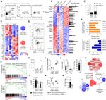 CD25 Antibody in Flow Cytometry (Flow)