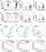 CD257 (BAFF, BLyS) Antibody in Flow Cytometry (Flow)