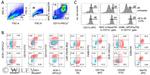 CD86 (B7-2) Antibody in Flow Cytometry (Flow)