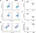 FOXP3 Antibody in Flow Cytometry (Flow)