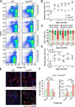 CD34 Antibody in Flow Cytometry (Flow)