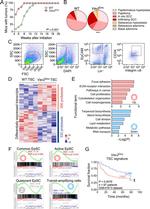 CD34 Antibody in Flow Cytometry (Flow)