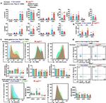 TIGIT Antibody in Flow Cytometry (Flow)