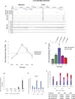 CD41a Antibody in Flow Cytometry (Flow)