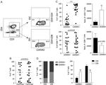 CD45RO Antibody in Flow Cytometry (Flow)