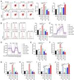 CD86 (B7-2) Antibody in Flow Cytometry (Flow)
