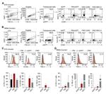 VISTA Antibody in Flow Cytometry (Flow)