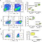 TREM2 Antibody in Flow Cytometry (Flow)