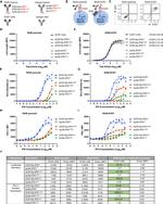 CD274 (PD-L1, B7-H1) Antibody in Flow Cytometry (Flow)