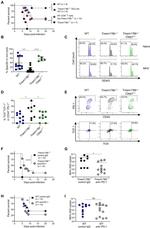 TOX Antibody in Flow Cytometry (Flow)