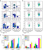 FOXP3 Antibody in Flow Cytometry (Flow)