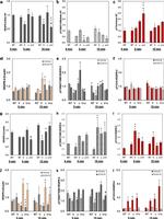 Phospho-VEGF Receptor 2 (Tyr1054, Tyr1059) Antibody in Western Blot (WB)