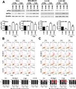 EIF2S1 Antibody in Western Blot (WB)