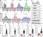 Bcl-W Antibody in Western Blot (WB)