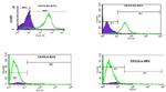 CD11b Antibody in Flow Cytometry (Flow)