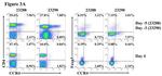 FOXP3 Antibody in Flow Cytometry (Flow)