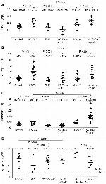 CD11b Antibody in Flow Cytometry (Flow)