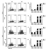 CD140a (PDGFRA) Antibody in Flow Cytometry (Flow)