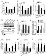 IP3 Receptor 2 Antibody in Western Blot (WB)