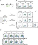 CD41a Antibody in Flow Cytometry (Flow)