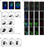 CD41a Antibody in Flow Cytometry (Flow)