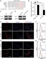 CD34 Antibody in Flow Cytometry (Flow)