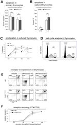 CD4 Antibody in Flow Cytometry (Flow)