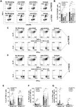 CD275 (B7-H2) Antibody in Flow Cytometry (Flow)