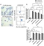 CD117 (c-Kit) Antibody in Flow Cytometry (Flow)