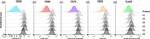 CD55 Monoclonal Antibody (67 (N-L063)), PE