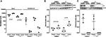 Dynamin 1 Antibody in Western Blot (WB)