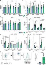 CD369 (Clec7a, Dectin-1) Antibody in Flow Cytometry (Flow)