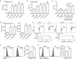Granzyme B Antibody in Flow Cytometry (Flow)