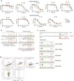 EGFR Antibody in Flow Cytometry (Flow)