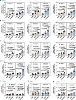 CD4 Antibody in Flow Cytometry (Flow)