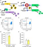 CD117 (c-Kit) Antibody in Flow Cytometry (Flow)