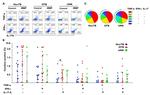 TNF alpha Antibody in Flow Cytometry (Flow)