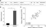 RUNX3 Antibody in ChIP Assay (ChIP)