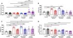 IL-6 Antibody in Neutralization (Neu)