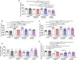 IL-6 Antibody in Neutralization (Neu)