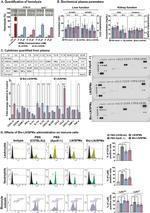 Ly-6C Antibody in Flow Cytometry (Flow)
