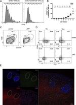 CD62L (L-Selectin) Antibody in Flow Cytometry (Flow)