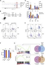 CD62L (L-Selectin) Antibody in Flow Cytometry (Flow)
