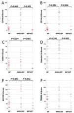 TREM2 Antibody in Immunohistochemistry (Paraffin) (IHC (P))