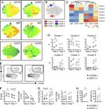 CD27 Antibody in Flow Cytometry (Flow)