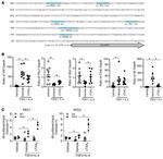PBX1 Antibody in ChIP Assay (ChIP)