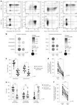 Granzyme M Antibody in Flow Cytometry (Flow)